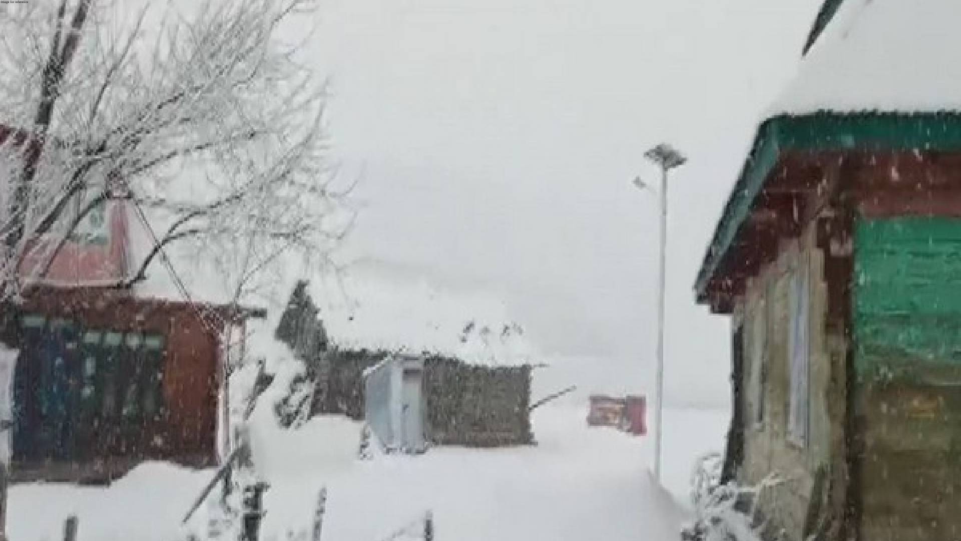 J-K: Upper reaches of Gurez valley receive fresh snowfall
